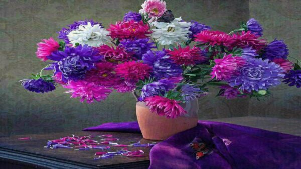  ترکی بو بالدی یا دوداخدی جانیم گوزوم سن سن